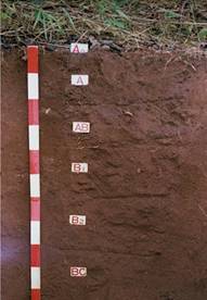 土壤土层分类及渗透系数